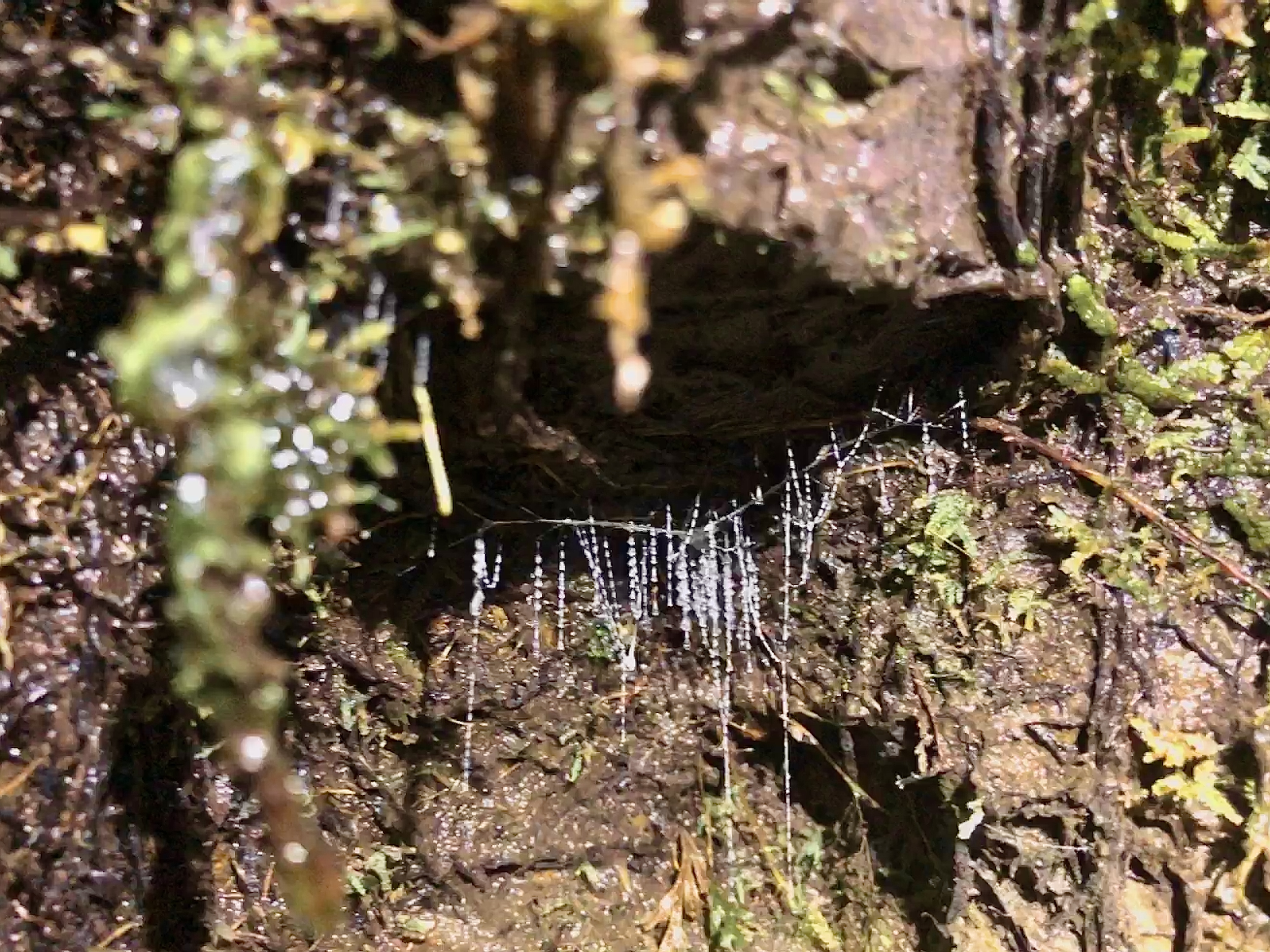 Connecting with glow worms in a night-time adventure