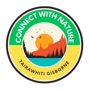 Connect with nature in Tairawhiti Gisborne